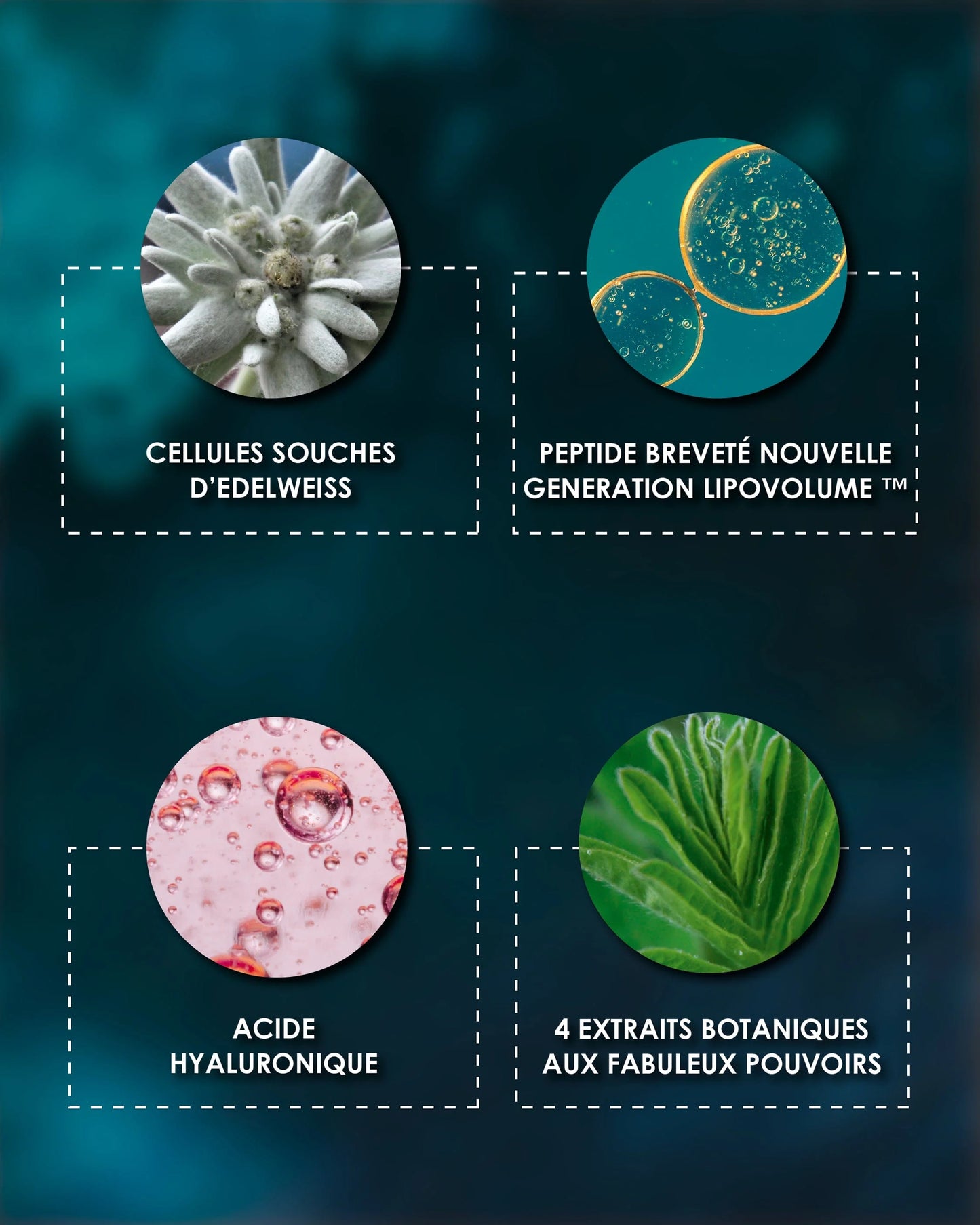 [ À la belle ÉTOILE ]