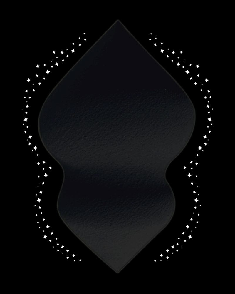 L'ÉPONGE MAGIQUE - NOIRE