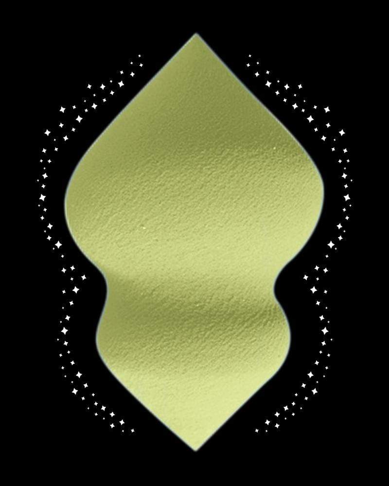 L'ÉPONGE MAGIQUE VERTE