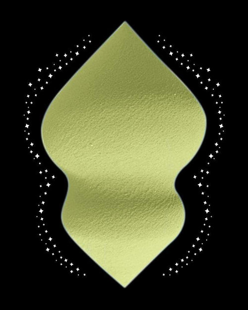 L'ÉPONGE MAGIQUE VERTE