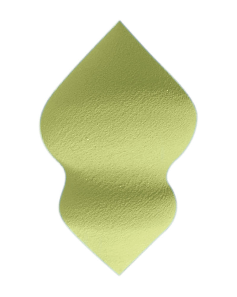 L'ÉPONGE MAGIQUE VERTE