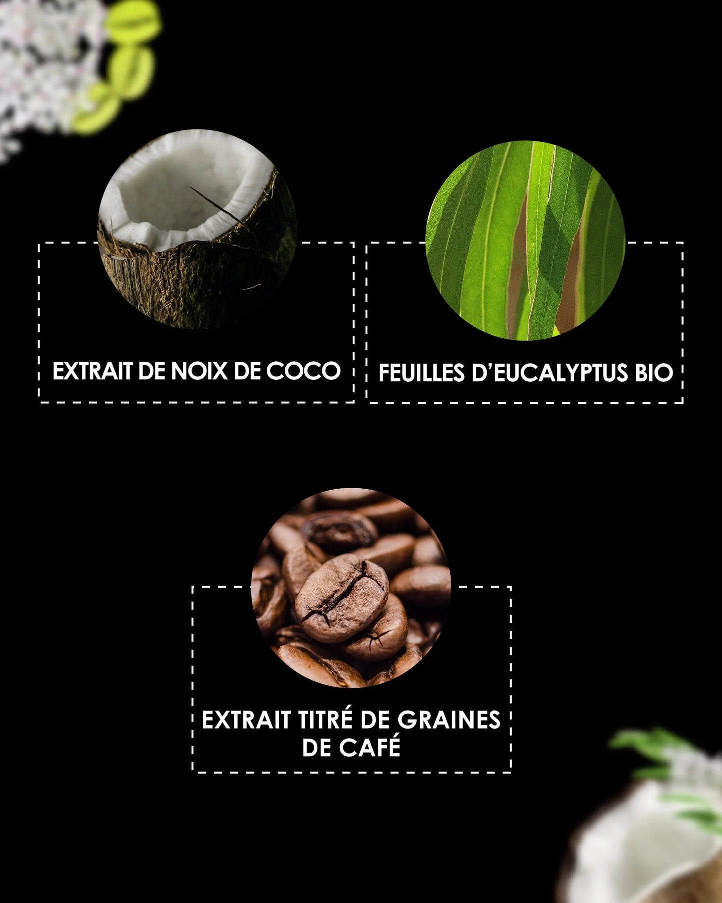 [ PSCHITT MAGIQUE CORPS ]