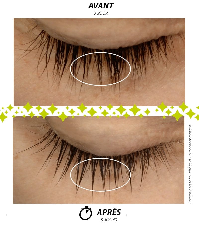 [ LARMES de PHOENIX ]