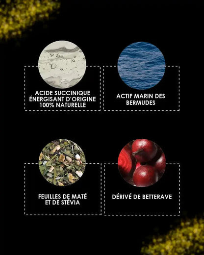 [ Fée-Moi FONDRE ] BOOSTÉE