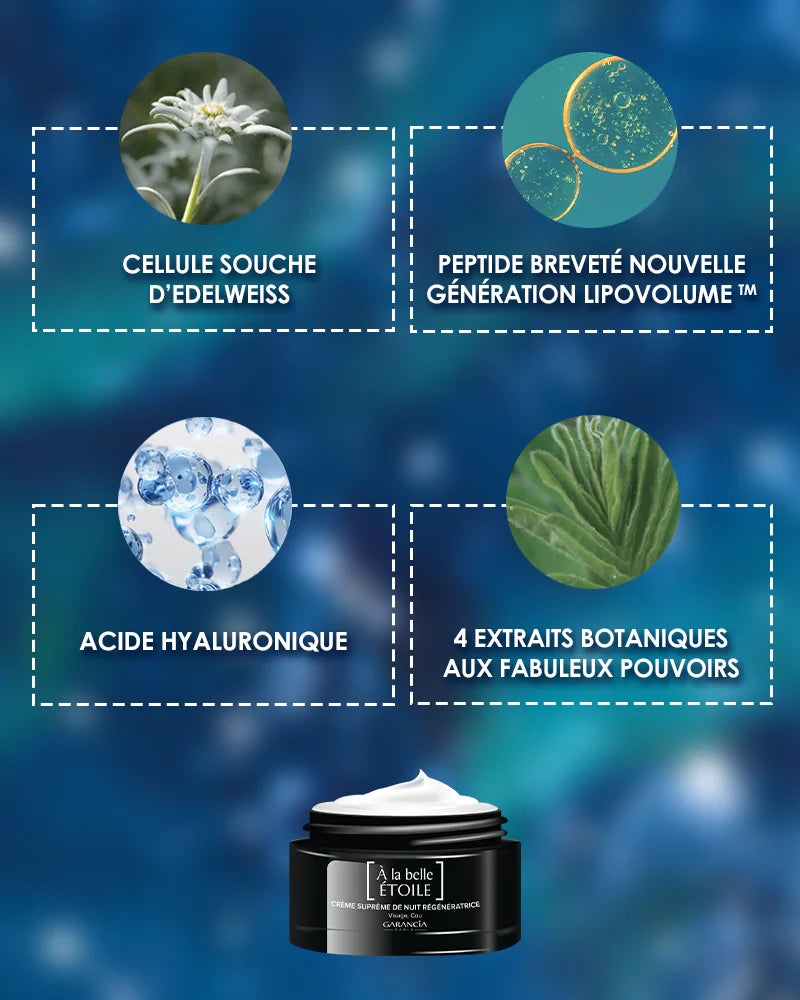 [ RITUEL NUIT RÉGÉNÉRATEUR MÉNO-EXPERT ]