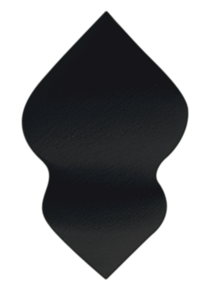 L'ÉPONGE MAGIQUE - NOIRE